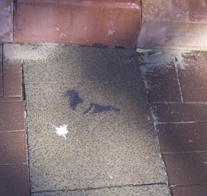 img-3731